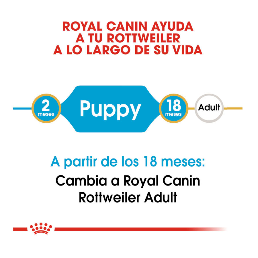 Royal Canin Puppy Rottweiler ração para cães, , large image number null